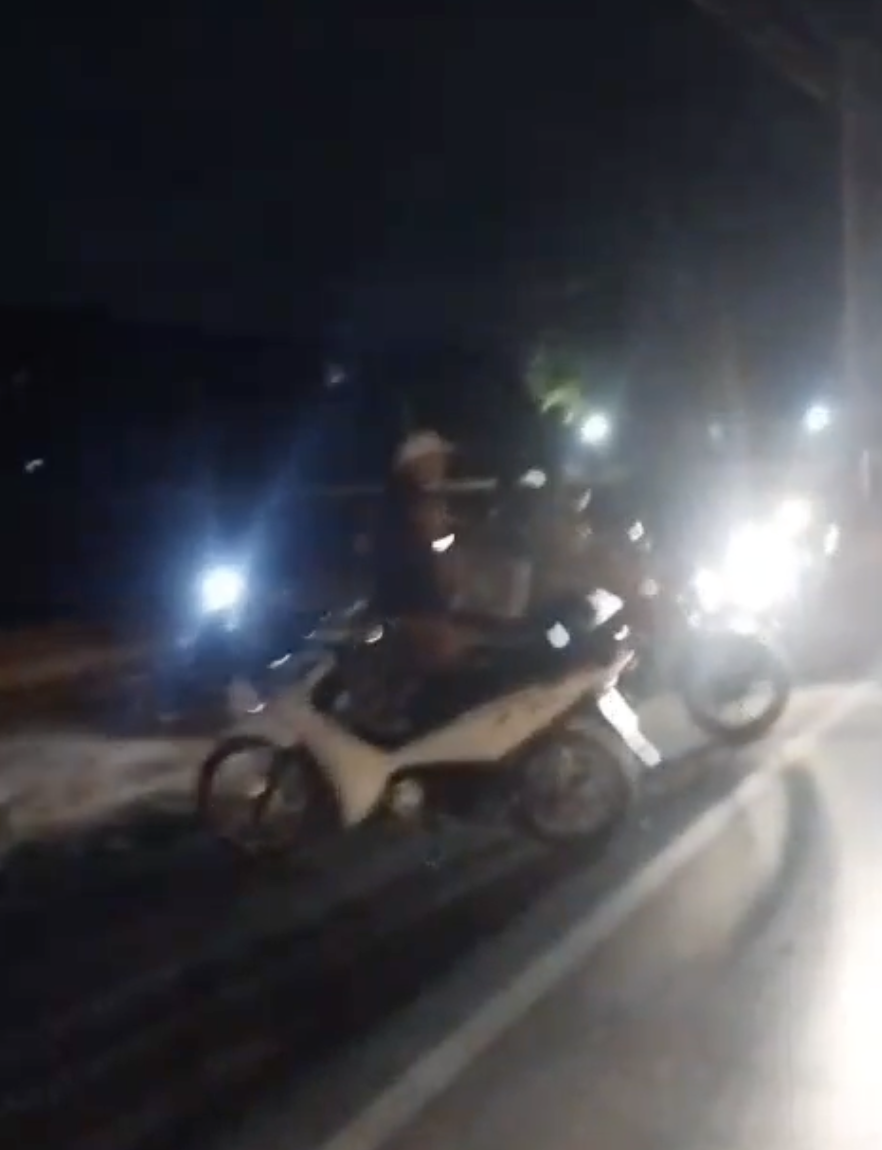 Descaso da Prefeitura: Omissão permite gado solto e resulta em acidente grave.